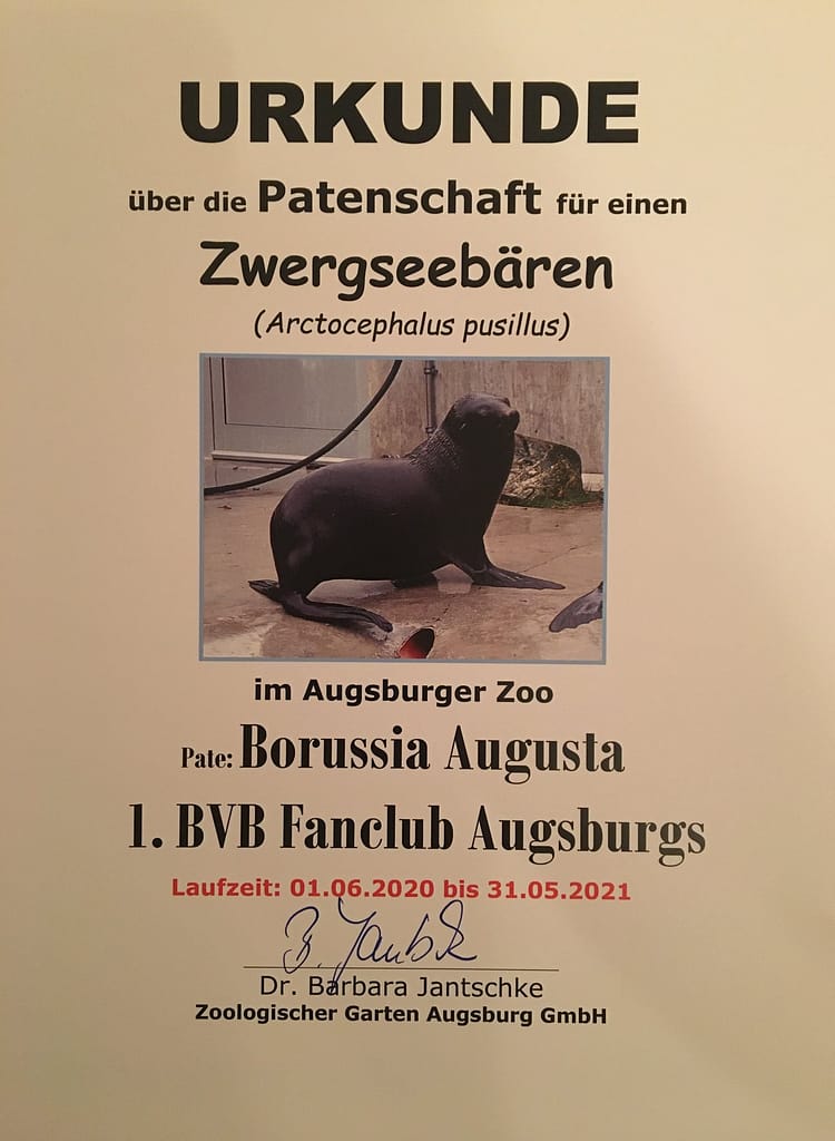 Urkunde über die Patenschaft